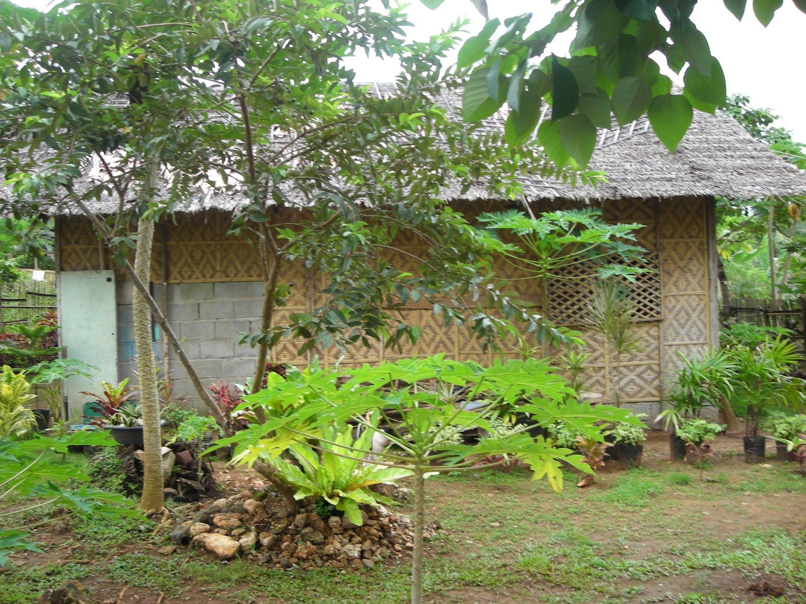 Bamboo Resort Hall